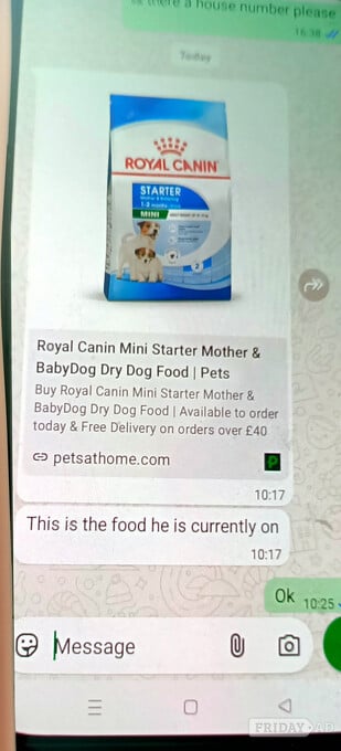 New dog cage then
